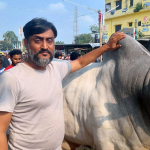 লন্ডন থেকে ফিরে গড়েছেন খামার, ৯ গরু থেকে এখন ১০৫