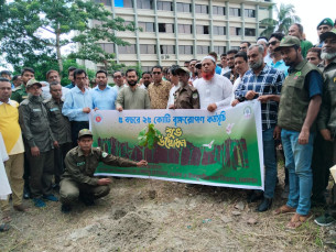 লালমোহনে বৃক্ষরোপণ কার্যক্রমের উদ্বোধন