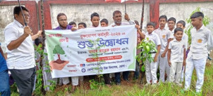 ভোলা সরকারি উচ্চ বিদ্যালয়ে বৃক্ষ রোপন