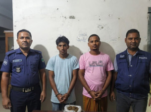 মনপুরায় মাদক সরবরাহের সময় গাঁজাসহ দুই মাদককারবারি আটক