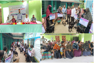 লালমোহনে দ্বীপ উন্নয়ন সোসাইটির উদ্যোগে হতদরিদ্রদের মাঝে ছাগল বিতরণ