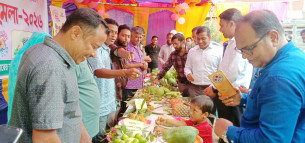 তজুমদ্দিনে জাতীয় ফল মেলার উদ্বোধন