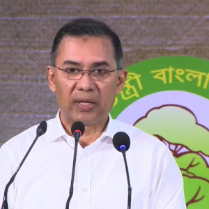 সরকারি হিসাবে ৭ লাখ দেখালেও গাছ লাগানো হয়েছে ২ লাখ: প্রধানমন্ত্রী
