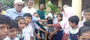 মনপুরায় ৪৩ প্রাথমিক বিদ্যালয়ে বৃক্ষরোপণ কর্মসূচি উদ্বোধন