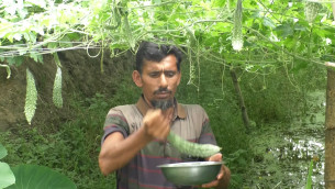 ভোলায় সর্জান পদ্ধতিতে বদলে যাচ্ছে কৃষির চিত্র