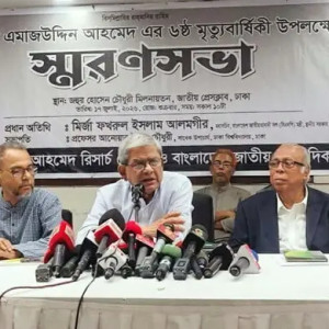 জনগণের ভোটে নির্বাচিত সরকারই জুলাই সনদ বাস্তবায়ন করবে: মির্জা ফখরুল