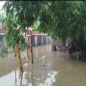 মনপুরায় টানা বর্ষণ ও জোয়ারের পানিতে নিম্নাঞ্চল প্লাবিত