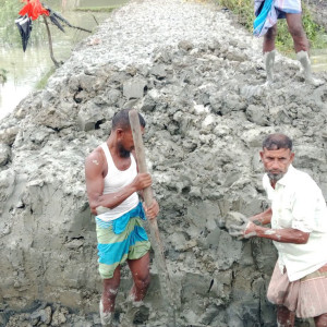 মনপুরায় টানা বর্ষণ ও জলাবদ্ধতায় ফসল রাস্তাঘাট ও ঘর বাড়ির ব্যাপক ক্ষতি