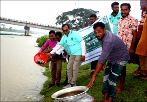 ভোলায় জিজেইউএসের পক্ষ থেকে তেতুলিয়া নদীতে পোনা মাছ অবমুক্ত