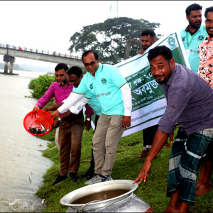 ভোলায় জিজেইউএসের পক্ষ থেকে তেতুলিয়া নদীতে পোনা মাছ অবমুক্ত