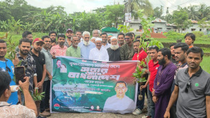 ভোলা জেলা ছাত্রদলের বৃক্ষরোপণ কর্মসূচি