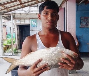 মনপুরায় মেঘনার এক ইলিশের দাম সাড়ে ৮ হাজার টাকা