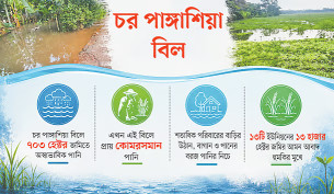 ভোলায় আমন ধান চাষ নিয়ে শঙ্কা