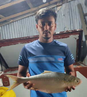 মনপুরায় আড়াই কেজি ওজনের রাজা ইলিশের দাম ১৫ হাজার টাকা