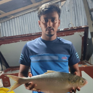 মনপুরায় আড়াই কেজি ওজনের রাজা ইলিশের দাম ১৫ হাজার টাকা