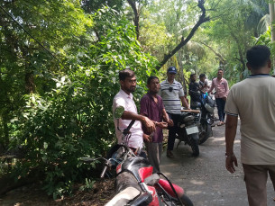 মনপুরায় ইয়াবাসহ এক মাদককারবারি আটক