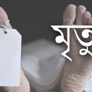 লালমোহনে সড়ক দুর্ঘটনায় মানসিক ভারসাম্যহীন বৃদ্ধের মৃত্যু