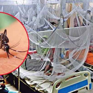 ডেঙ্গুতে প্রাণ গেল আরও ৫ জনের