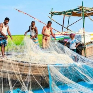 নিষেধাজ্ঞায় নদীতে মাছ ধরা বন্ধ, লালমোহনে চালের অপেক্ষায় ১৬ হাজার ৫৭৫ জেলে
