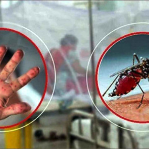 ডেঙ্গুতে আরও ৭ জনের মৃত্যু, হাম উপসর্গে ১