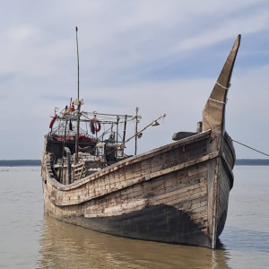 মনপুরায় ট্রলার বোঝাই ১৩ মণ মা ইলিশ জব্দ